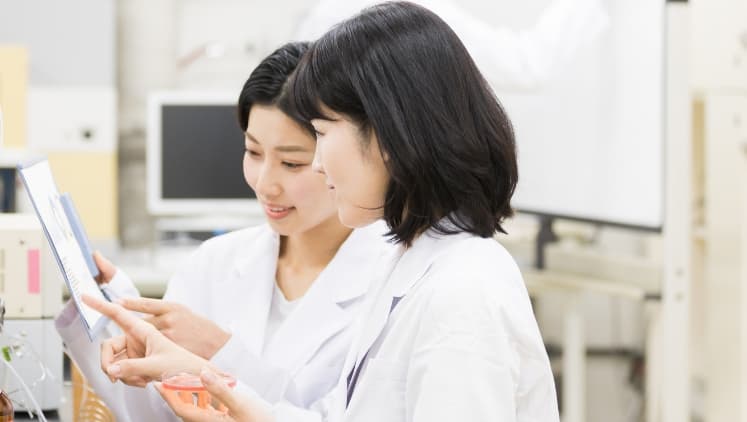 カスタム電極イメージ