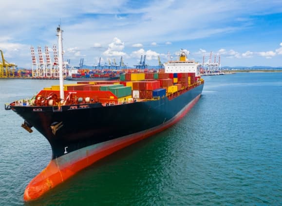 選任製造販売業者（DMAH）サービス業